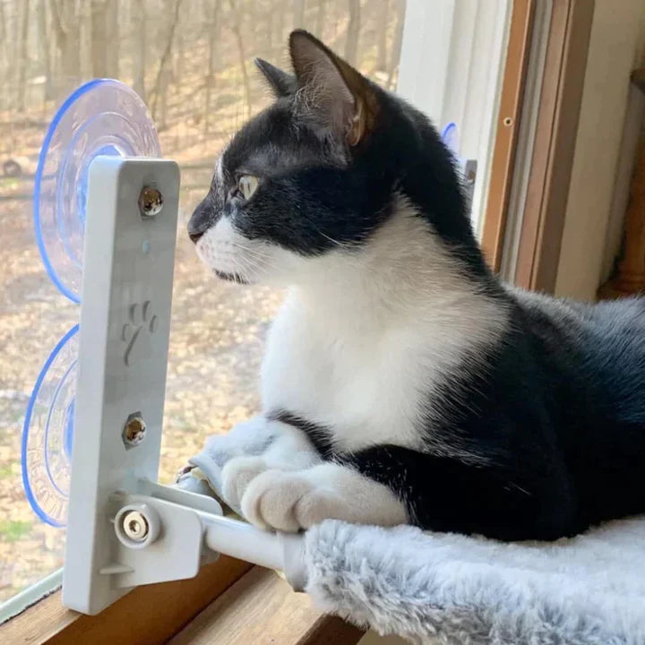 WindowSeat™ | Give your cats a cozy space to relax