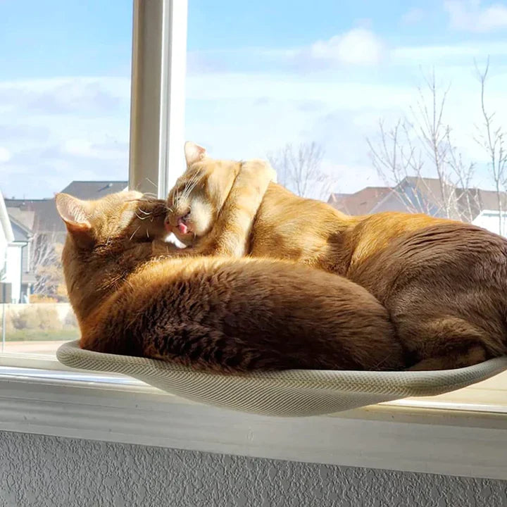 WindowSeat™ | Give your cats a cozy space to relax