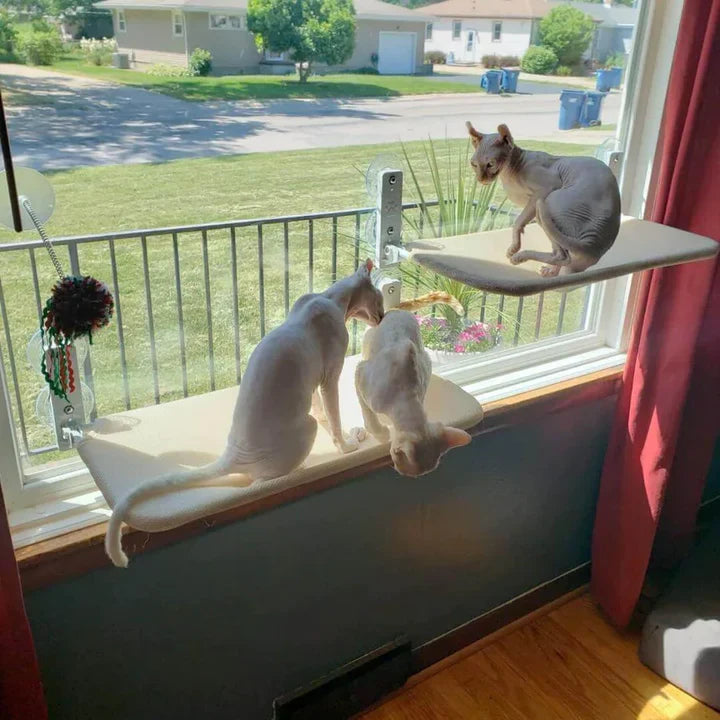 WindowSeat™ | Give your cats a cozy space to relax