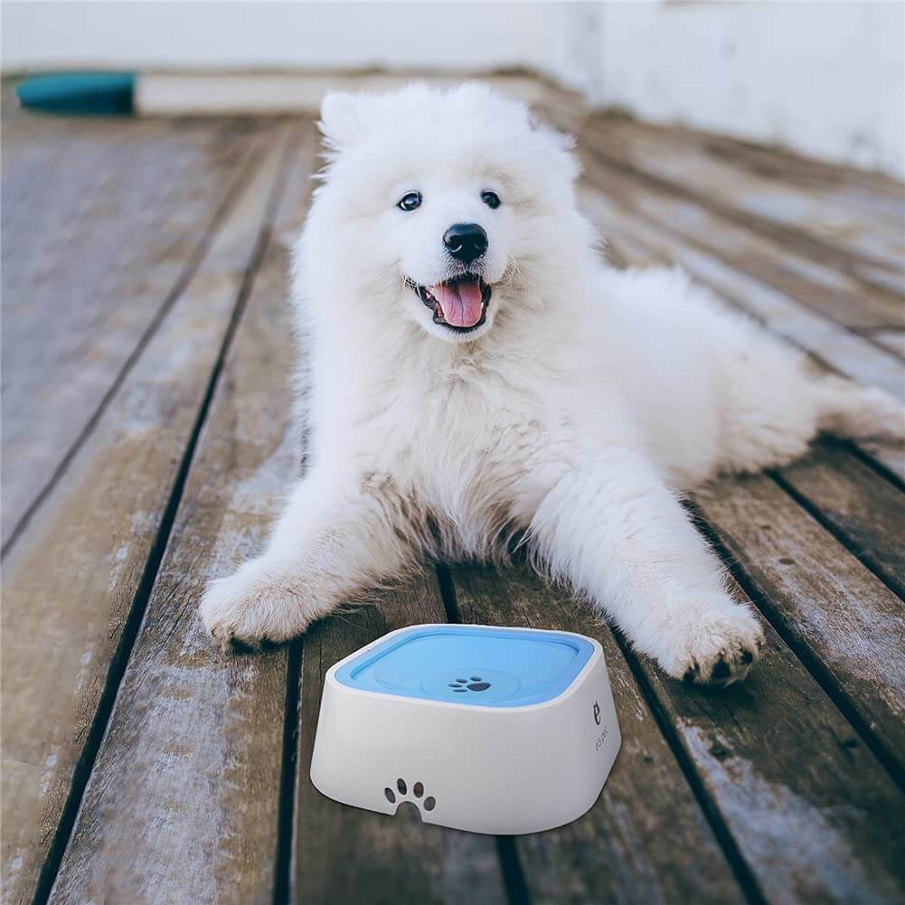 NoSpill™ | No more soggy fur or water stains on the floor.