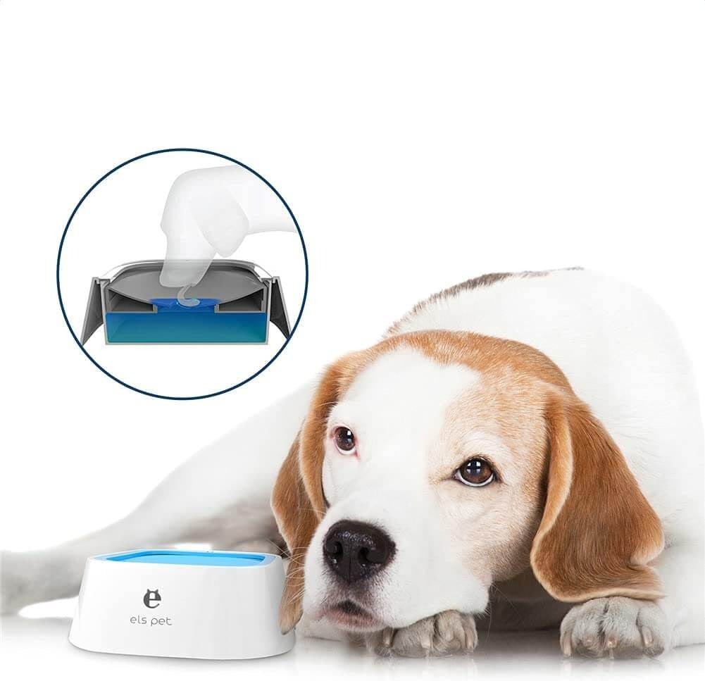 NoSpill™ | No more soggy fur or water stains on the floor.